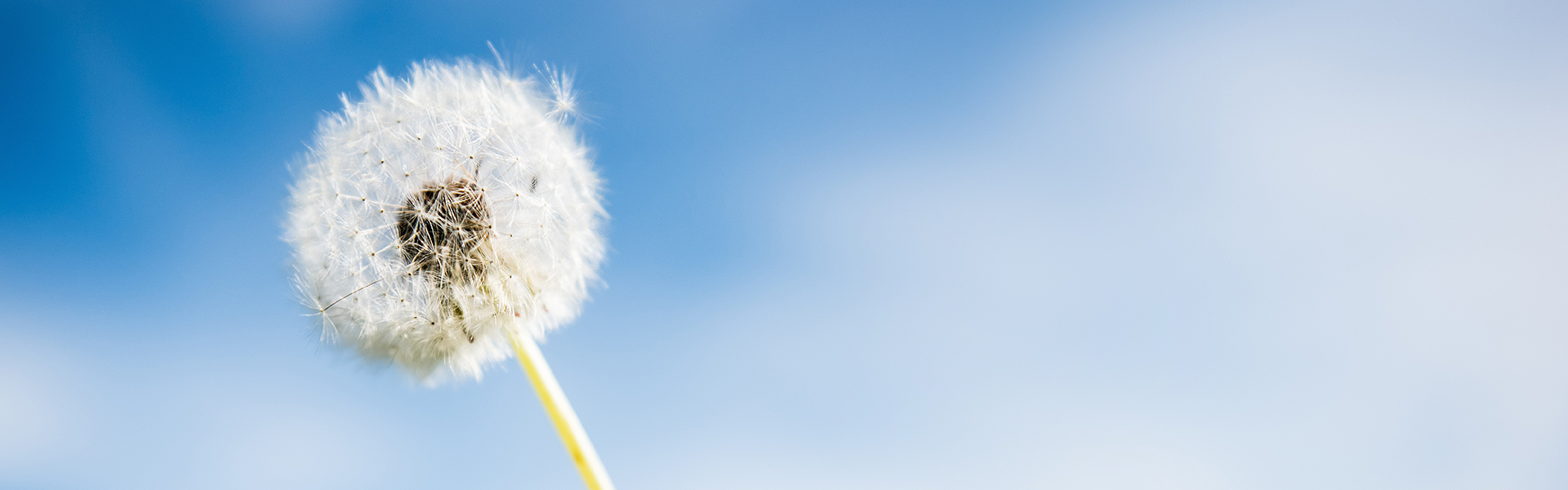 企業社會責任報告